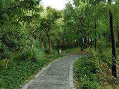 -新江湾城公园