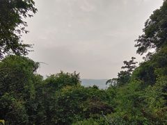 -火炉山森林公园