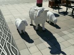 -馅老满·生春阁(慕田峪店)