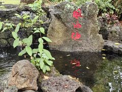 -海口火山口国家地质公园