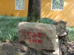 -苏州上方山国家森林公园