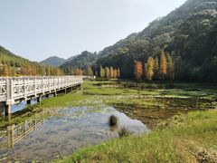 -广州市石门国家森林公园