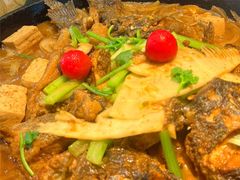 -老板恋上鱼(印象城店)