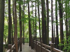 -东湖落雁景区