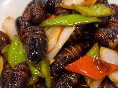 -渔娘渔家丹东海鲜(东直门店)