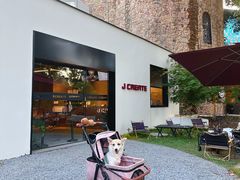 -J Create城市露营咖啡·简餐·宠物(上海动物园店)