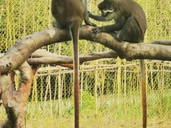 -杭州野生动物世界