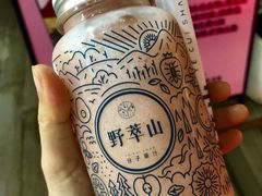 -野萃山·潮汕厚果汁(十亩地店)