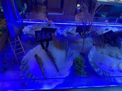 -57度湘(王府井10F店)