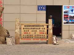 -敦煌雅丹国家地质公园