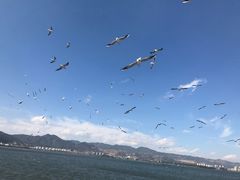 -怡得观滇餐厅·地道昆明菜·1996(海埂大坝店)