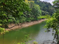 -广州市石门国家森林公园