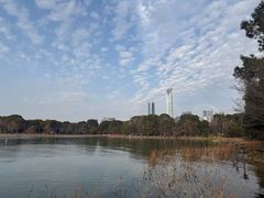 -金鸡湖桃花岛