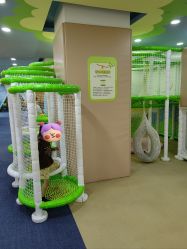 -啵乐乐儿童主题乐园(北京旗舰店)