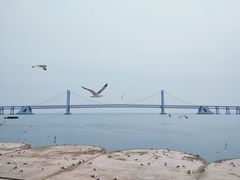-星海广场