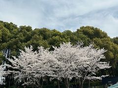 -黄兴公园