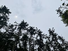 -青龙山国家森林公园