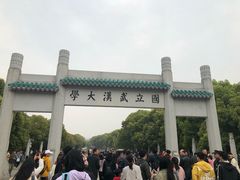 -武汉大学-樱园