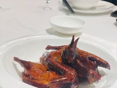 红烧乳鸽-陶陶居·雅园(凯华国际店)