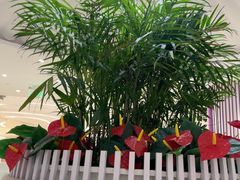 -LANN I 蘭 SPA(陆家嘴中心店)