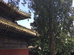 -潭柘寺景区
