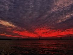 -宝安西湾红树林湿地公园