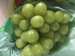 -马陆小张葡萄园农家乐