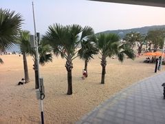 -大梅沙海滨公园