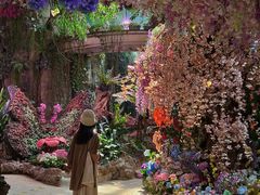 -正佳雨林生态植物园