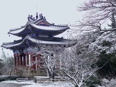 -梅花山(明孝陵内)