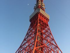 -东京塔海贼王主题公园