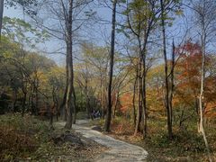 -玉渡山自然风景区