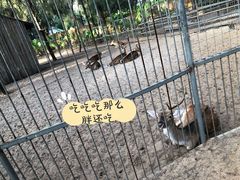 -六鳌翡翠湾滨海度假景区