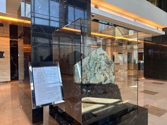 -上海龙之梦万丽酒店