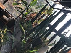 -北马山庄植趣咖啡