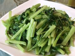 -新聚丰菜馆(太监弄店)