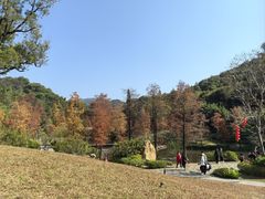 -云溪植物园