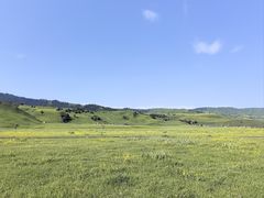 -新疆那拉提国家旅游度假区