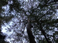 -香山公园