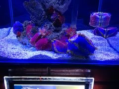 -太平洋海底世界