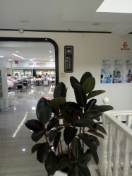 -痘博士昆明·国际祛痘领跑品牌