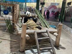 -栾川竹海野生动物园