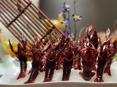 -尚海豆捞(乐虹坊店)