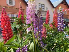 -泰达航母主题公园