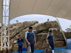 -芜湖新华联大白鲸海洋公园