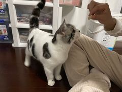 -PETKIT小佩宠物·低压洗护(国顺东路店)