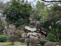 -深圳国际园林花卉博览园