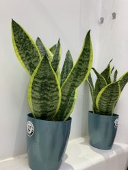 -魔丽卡·中国式美甲美睫