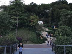 景点-飞凤山奥体公园