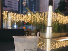 -深圳温德姆至尊酒店·大堂吧·户外花园